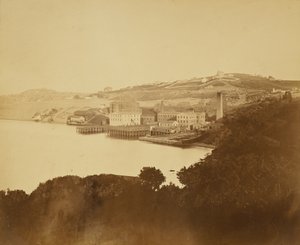 [Fábrica de lana, San Francisco] de Carleton Watkins