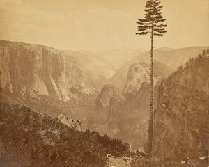 [El valle de Yosemite desde el sendero Mariposa] de Carleton Watkins