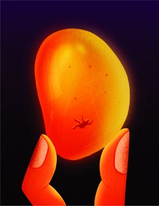  de Carlo Alberto Giardina