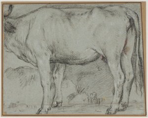 Vaca de pie (sin cabeza) de Carlo Caliari
