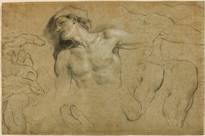 Estudios de manos, hombros y una pierna de Carlo Cignani