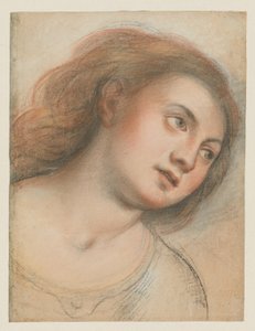 Estudio para cabeza femenina (verso); Cabeza de Cristo (recto)