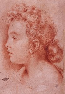Retrato de Faustina Maratti de Carlo Maratta