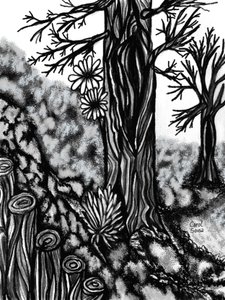 Dibujo al carboncillo digital 1