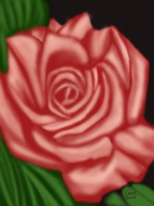 El Recuerdo de una rosa de Carol Sousa Cuello