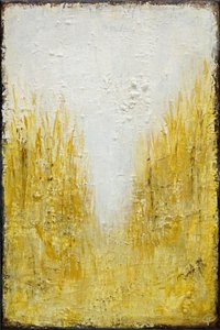 Luz del campo dorado