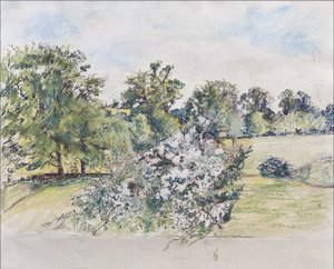 Agosto desde nuestra ventana, 2007 de Caroline Hervey Bathurst