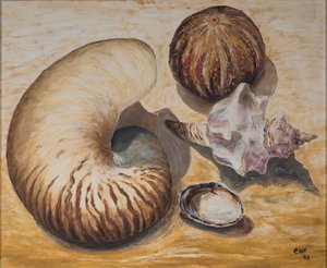 Conchas marinas, 1993 de Carolyn Hubbard Ford