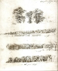 Estudios sobre árboles 1809 de Caspar David Friedrich