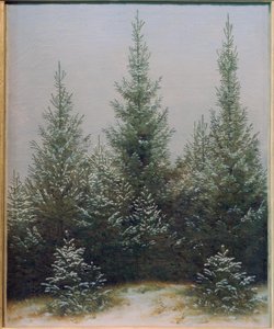 Bosque de abetos en la nieve