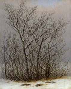 Arbustos en la nieve de Caspar David Friedrich