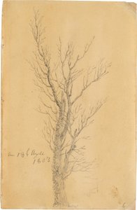Alemán: Baumstudie Estudio de un árbol de Caspar David Friedrich