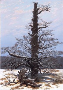 Alemán: Eichbaum im Schnee El roble en la nieve de Caspar David Friedrich