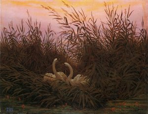 Alemán: Schwäne im Schilf beim ersten Morgenrot Swans in the reeds at the first dawn de Caspar David Friedrich