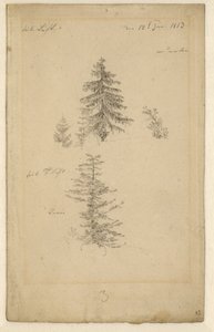 Alemán: Zwei Tannenstudien Dos estudios sobre abetos de Caspar David Friedrich