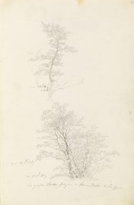 Grupo de árboles jóvenes de Caspar David Friedrich