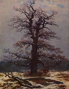 Roble en la nieve de Caspar David Friedrich