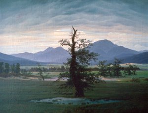 El árbol solitario, 1823 de Caspar David Friedrich