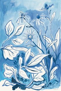 Jardín Botánico Azul de Catalina Somolinos