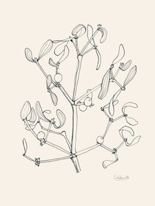 Dibujo lineal de muérdago navideño