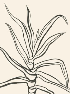 Esquema minimalista de una planta