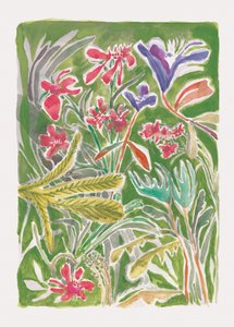 Un jardín silvestre lleno de vida de Catalina Somolinos