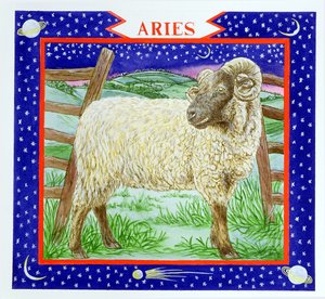 Aries de Catherine Bradbury