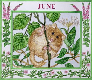Junio de Catherine Bradbury