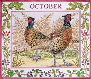 Octubre de Catherine Bradbury