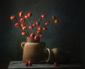  de Catherine Wang