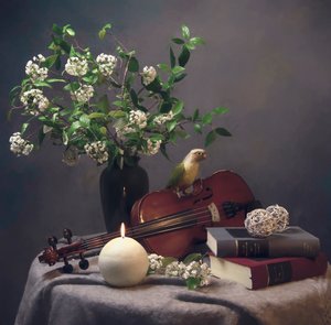  de Catherine Wang