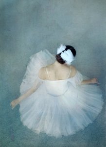 Elegante bailarina cisne de Catherine Wang