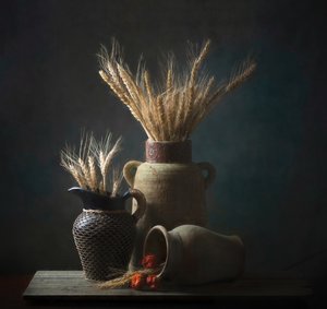  de Catherine Wang