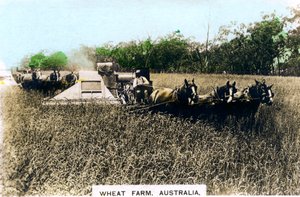 Granja de trigo Grenfell, Australia, c1920s