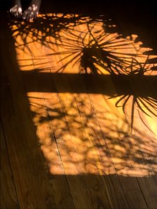Composición - Sombras, 2019 (foto) de Cécile Jamet