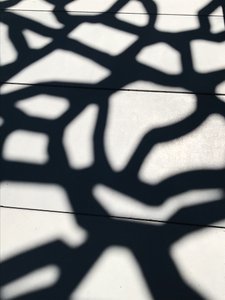 Composición - Sombras, 2021 (foto) de Cécile Jamet