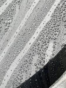 Composición - Textura, 2024 (foto) de Cécile Jamet