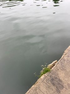 Composición, 2019 (foto)
