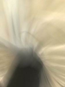 Composición, 2021 (foto)