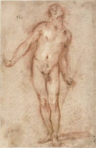 Desnudo masculino de pie de Cecco Bravo