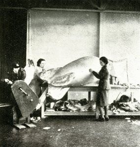 Reparación de globos de barrera, c. 1943