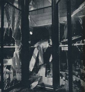 Vitrinas en el Museo de Historia Natural, 1941 de Cecil Beaton
