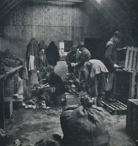 Verduras para el mercado, 1941 de Cecil Beaton