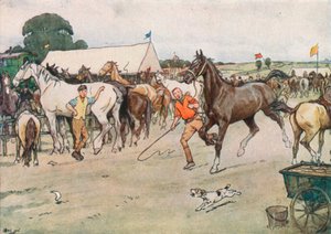 Una feria de caballos... 