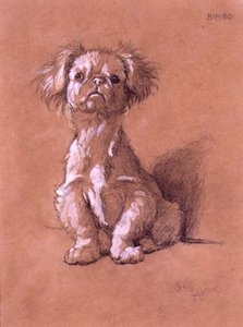 Bimbo de Cecil Charles Windsor Aldin