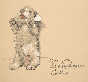 Sealyham, 1930, Ilustraciones de su cuaderno de bocetos utilizado para Just Among Friends, publicado más tarde por Eyre y Spottiswoode Limited, 1934