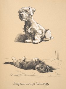 Sealyham y cachorro de Rough Dachund, 1930, Ilustraciones de su cuaderno de bocetos utilizado para Just Among Friends, publicado más tarde por Eyre y Spottiswoode Limited, 1934