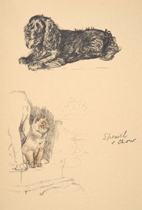Spaniel y Chow, 1930, Ilustraciones de su Sketch Book usado para Just Among Friends, Aldin, Cecil Charles Windsor (1870-1935), publicado posteriormente por Eyre and Spottiswoode Limited, 1934