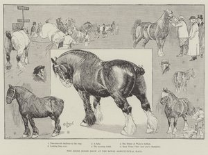 La exposición de caballos Shire en el Royal Agricultural Hall de Cecil Charles Windsor Aldin