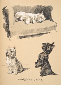 West Highlanders y Scotch, 1930, Ilustraciones de su cuaderno de bocetos utilizado para Just Among Friends, publicado más tarde por Eyre y Spottiswoode Limited, 1934